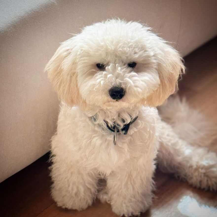 Γιώργος Τσαλίκης: Η υπόσχεση που έδωσε στη γυναίκα του για τα γενέθλιά της 