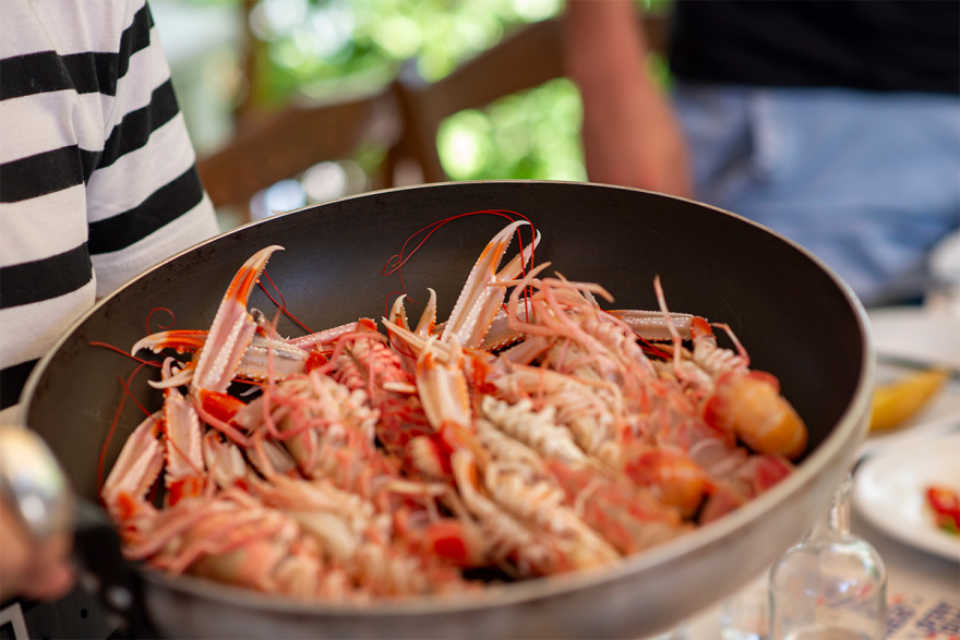 3ο Evia Film Project: Με συναρπαστικά φιλμ, μουσική και άρωμα... μεζέ η γιορτή του πράσινου σινεμά στην Εύβοια