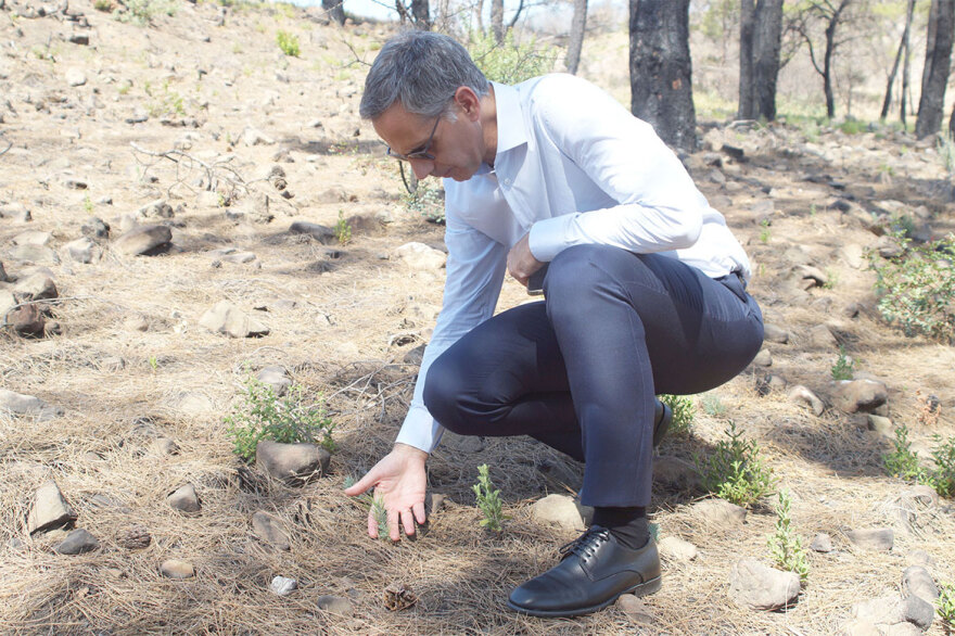 H Νοva αναπτύσσει τo έργο «Έξυπνο Δάσος Ρόδος»