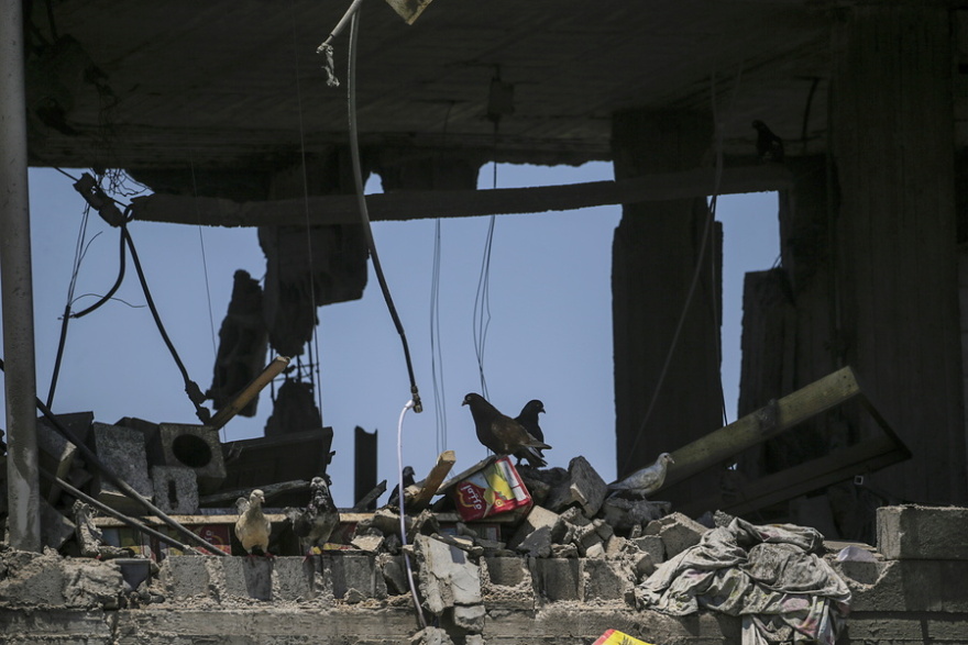 Λωρίδα της Γάζας: Στους 90 οι νεκροί από το ισραηλινό πλήγμα στον καταυλισμό εκτοπισμένων του Αλ Μαουάσι