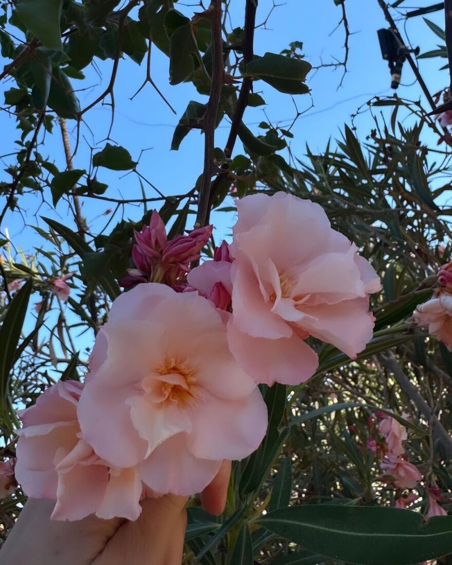 Ευγενία Νιάρχου: Κρήτη έχεις την καρδιά μου, γράφει ενώ κάνει διακοπές στο νησί - Δείτε φωτογραφίες