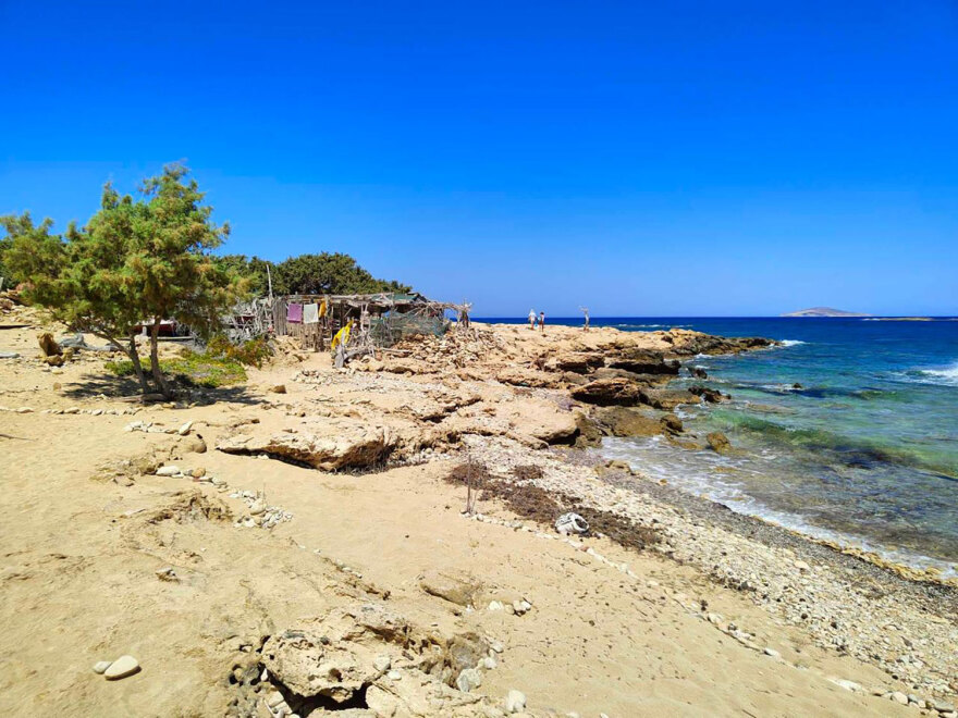 Οι «Survivors» της Γαύδου: Έφτασαν τα ειδοποιητήρια κατεδάφισης για τα δεντρόσπιτά τους