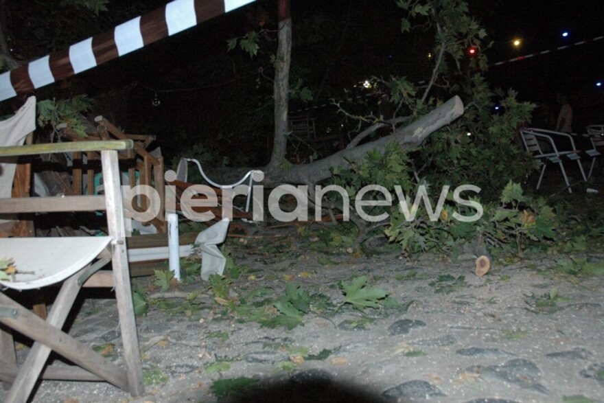 Πιερία: 10 άτομα προσπαθούσαν να σηκώσουν το κλαδί που σκότωσε την 44χρονη - Τι έδειξε η αυτοψία του δασαρχείου για τον πλάτανο