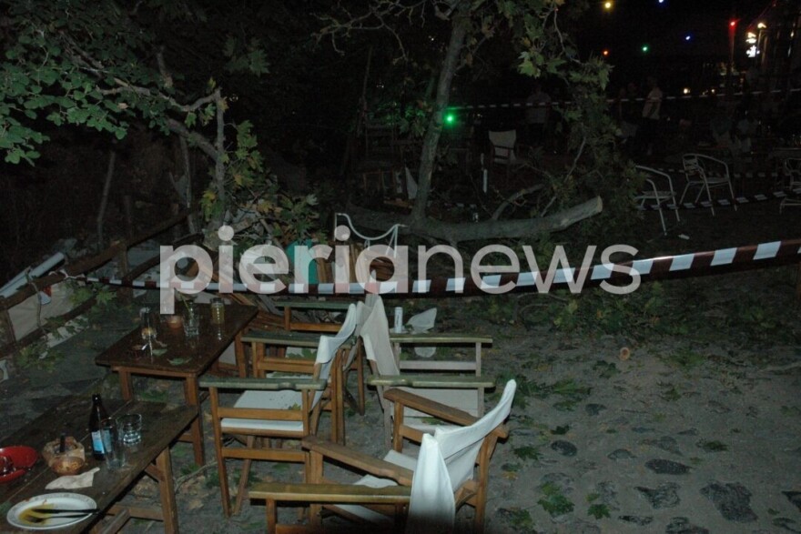 Πιερία: 10 άτομα προσπαθούσαν να σηκώσουν το κλαδί που σκότωσε την 44χρονη - Τι έδειξε η αυτοψία του δασαρχείου για τον πλάτανο