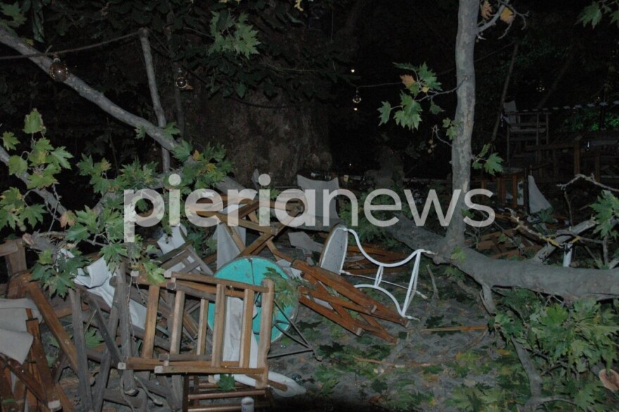 Πιερία: 10 άτομα προσπαθούσαν να σηκώσουν το κλαδί που σκότωσε την 44χρονη - Τι έδειξε η αυτοψία του δασαρχείου για τον πλάτανο