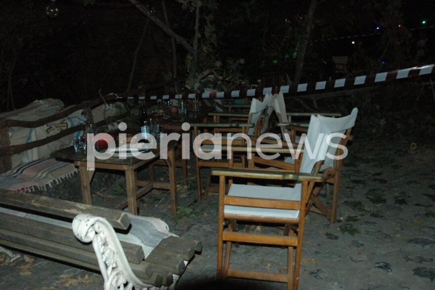 Πιερία: 10 άτομα προσπαθούσαν να σηκώσουν το κλαδί που σκότωσε την 44χρονη - Τι έδειξε η αυτοψία του δασαρχείου για τον πλάτανο
