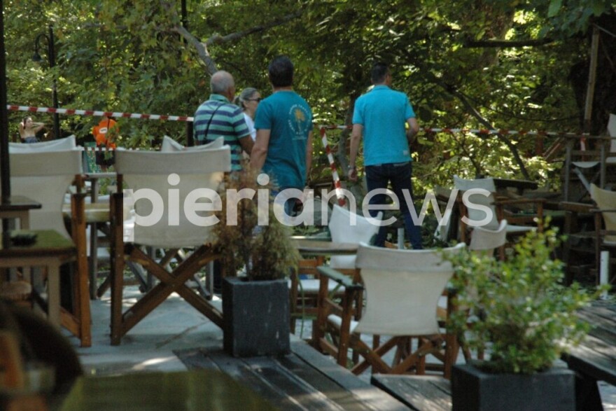 Πιερία: 10 άτομα προσπαθούσαν να σηκώσουν το κλαδί που σκότωσε την 44χρονη - Τι έδειξε η αυτοψία του δασαρχείου για τον πλάτανο