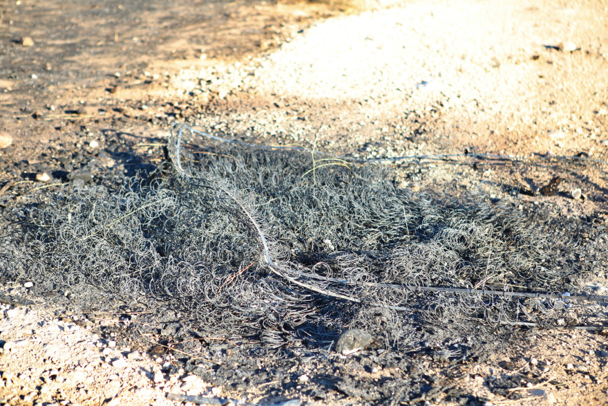 Υπό μερικό έλεγχο η πυρκαγιά σε χαμηλή βλάστηση στον Ασπρόπυργο 