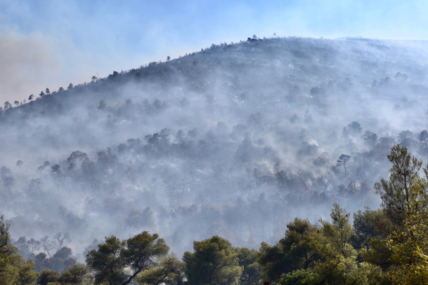 Φωτιά στο Σοφικό: Καλύτερη η εικόνα - Συνεχίζουν να επιχειρούν ισχυρές δυνάμεις της Πυροσβεστικής