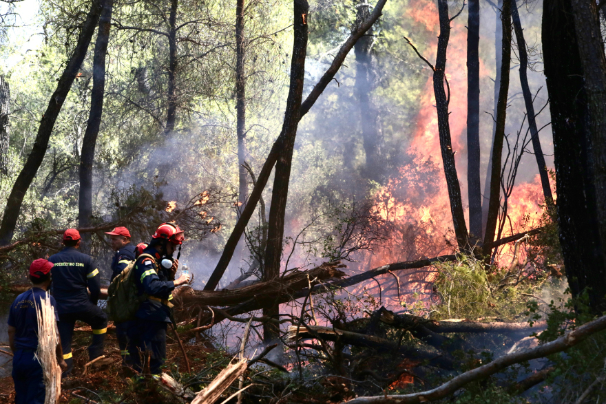 Φωτιά στο Σοφικό: Καλύτερη η εικόνα - Συνεχίζουν να επιχειρούν ισχυρές δυνάμεις της Πυροσβεστικής