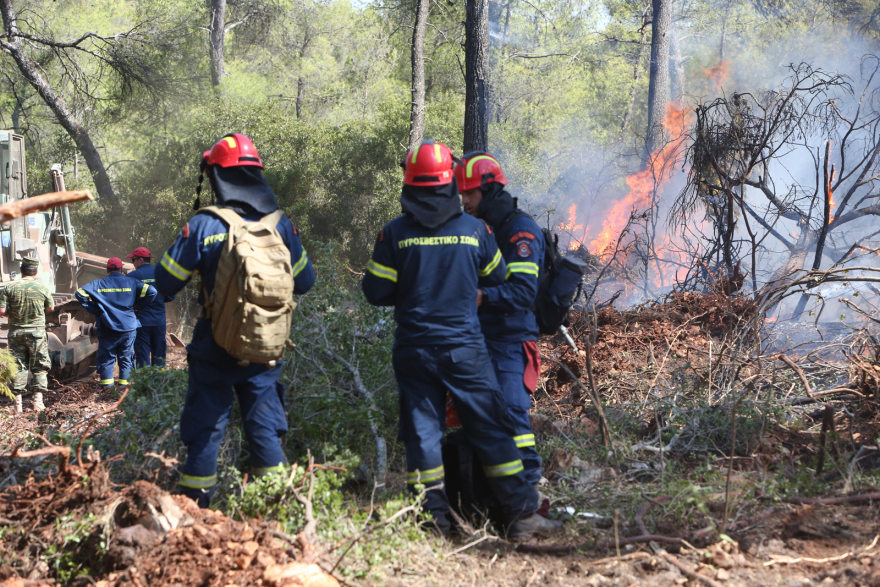 Φωτιά στο Σοφικό: Καλύτερη η εικόνα - Συνεχίζουν να επιχειρούν ισχυρές δυνάμεις της Πυροσβεστικής
