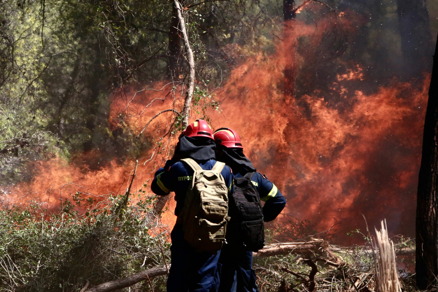 Φωτιά σε δασική έκταση στο Σοφικό Κορινθίας - Τραυματίστηκαν ελαφρά τρεις πυροσβέστες, δείτε βίντεο