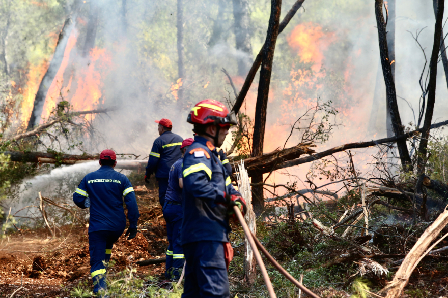 Φωτιά σε δασική έκταση στο Σοφικό Κορινθίας - Τραυματίστηκαν ελαφρά τρεις πυροσβέστες, δείτε βίντεο