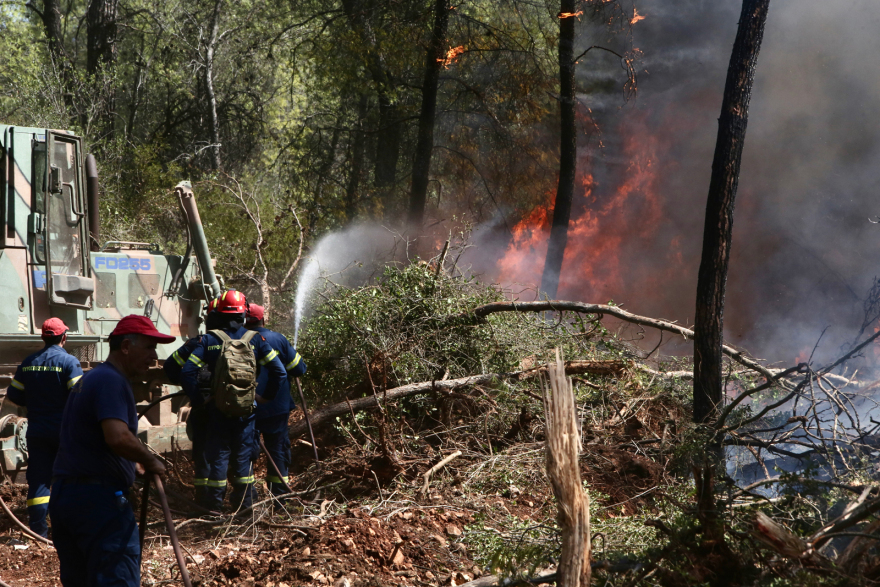 Φωτιά σε δασική έκταση στο Σοφικό Κορινθίας - Τραυματίστηκαν ελαφρά τρεις πυροσβέστες, δείτε βίντεο