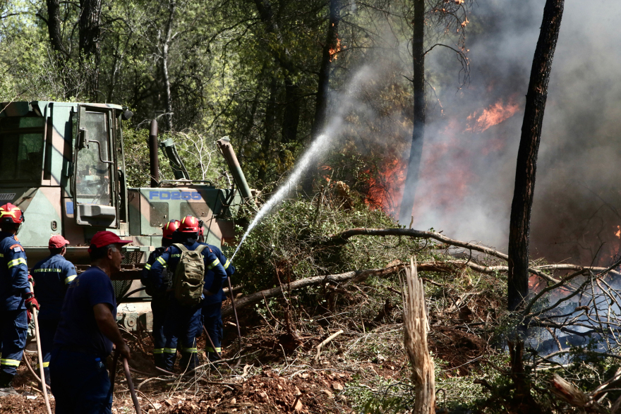 Φωτιά σε δασική έκταση στο Σοφικό Κορινθίας - Τραυματίστηκαν ελαφρά τρεις πυροσβέστες, δείτε βίντεο