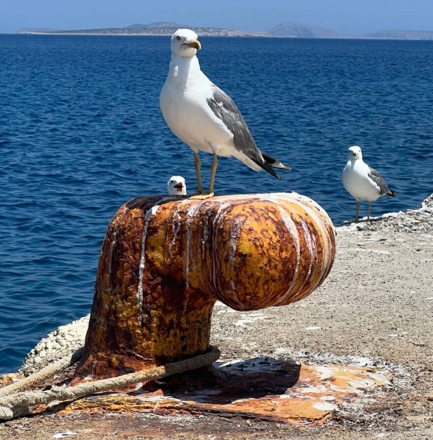Ελεωνόρα Ζουγανέλη – Νίκος Συρίγος: Ταξίδι στην Αστυπάλαια για το ζευγάρι