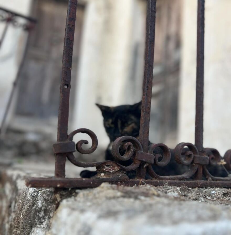 Ελεωνόρα Ζουγανέλη – Νίκος Συρίγος: Ταξίδι στην Αστυπάλαια για το ζευγάρι