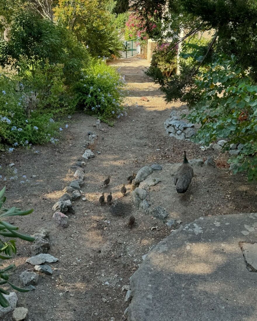Πάμελα Άντερσον: Η ανάρτησή της από τη Νότια Γαλλία - Είναι ένα από τα αγαπημένα μου μέρη