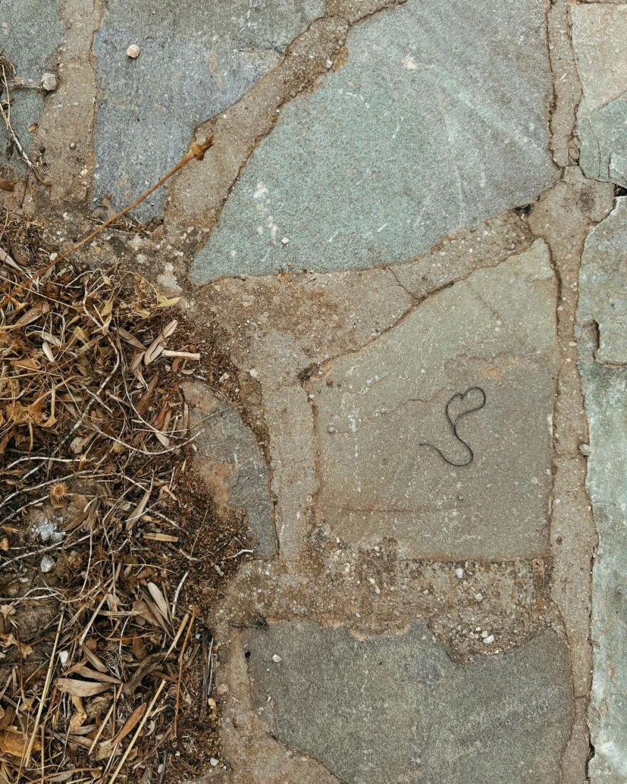 Κλέλια Ανδριολάτου: Το φωτογραφικό άλμπουμ της από τη Σίφνο 