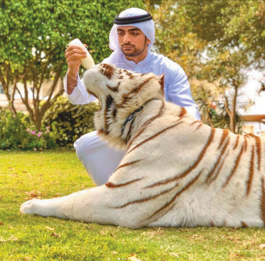 Σεΐχα Μάχρα: Από τη Σπάρτη στο Ντουμπάι με προίκα διαζυγίου 3 δισ.