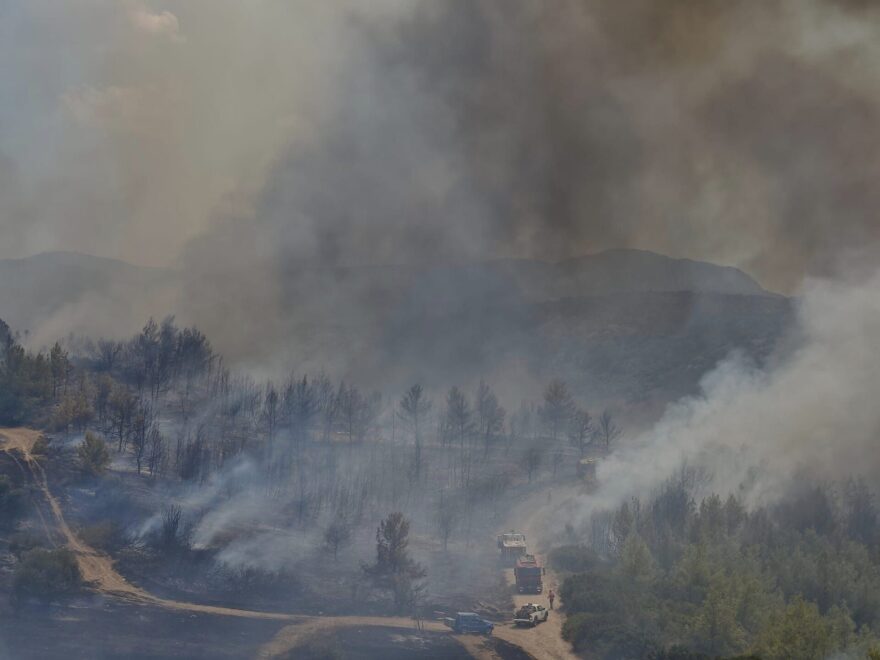 Χωρίς ενεργό μέτωπο η φωτιά στο Συκάμινο Ωρωπού - Στο νοσοκομείο εθελοντής πυροσβέστης λόγω εισπνοής καπνού, δείτε βίντεο