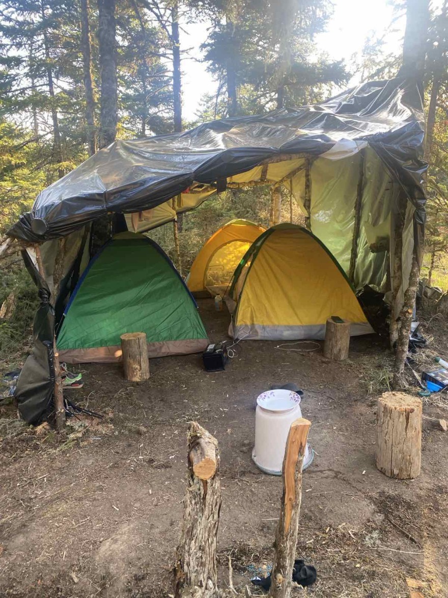 Φωκίδα: Εντοπίστηκε οργανωμένη φυτεία κάνναβης με 1.838 δενδρύλλια στα Βαρδούσια