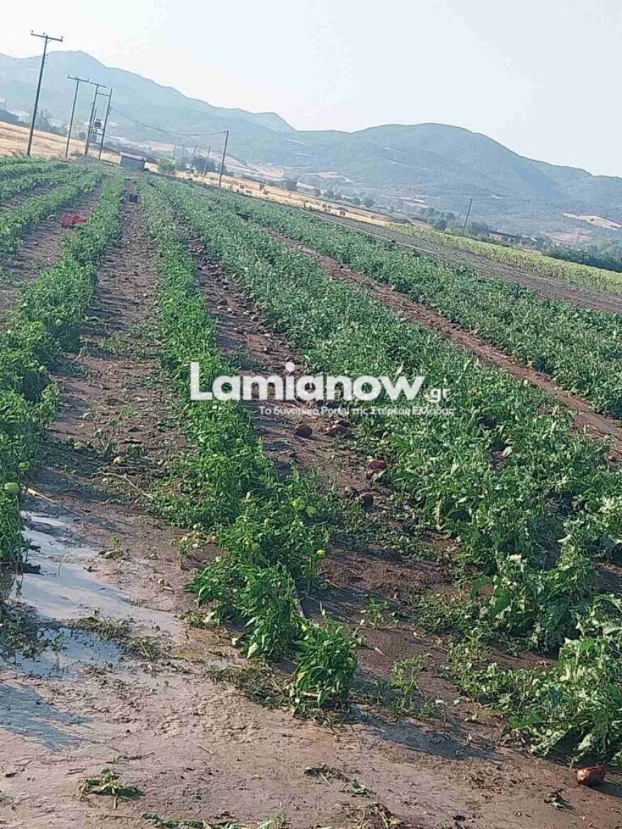 Λαμία: Μεγάλες καταστροφές στον Δομοκό μετά τη χθεσινή χαλαζόπτωση - Δείτε βίντεο
