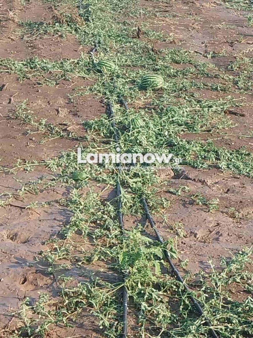 Λαμία: Μεγάλες καταστροφές στον Δομοκό μετά τη χθεσινή χαλαζόπτωση - Δείτε βίντεο