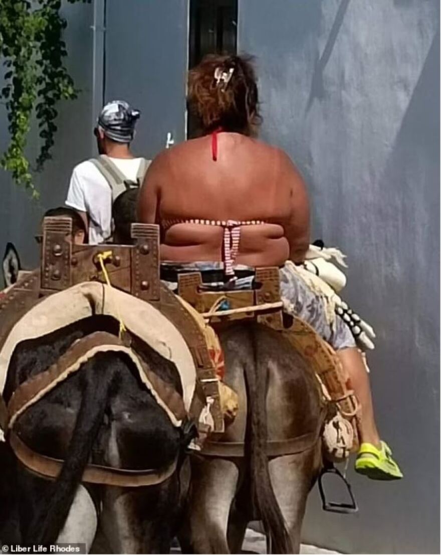 Ρόδος: Έκκληση ακτιβιστών για τα γαϊδουράκια «ταξί» - Για κακομεταχείριση μιλά η DailyMail, δείτε βίντεο