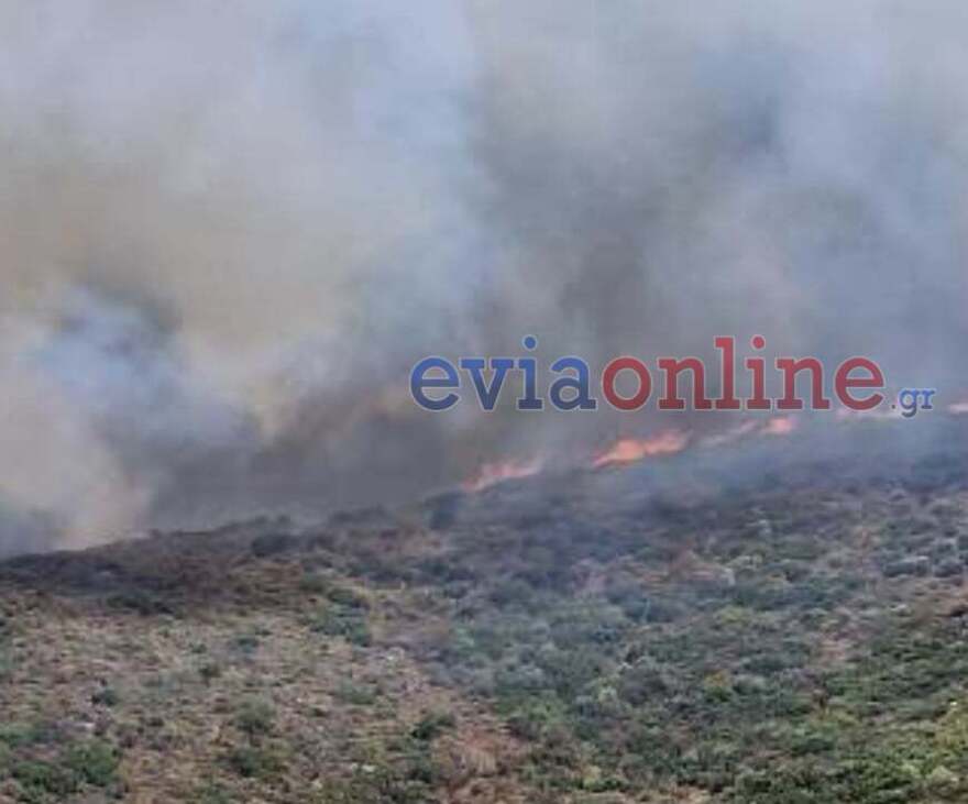 Εύβοια: Ανεξέλεγκτη φωτιά, εκκενώθηκαν οικισμοί - Τραυματίστηκε πυροσβέστης (βίντεο και φωτογραφίες)