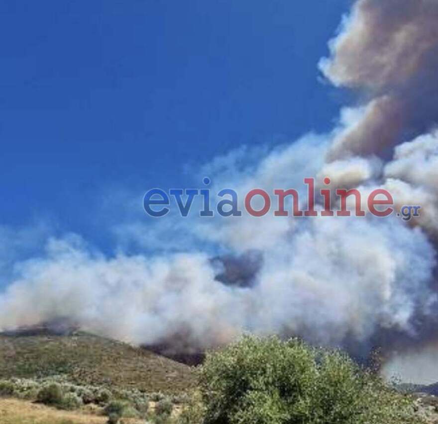 Εύβοια: Ανεξέλεγκτη φωτιά, εκκενώθηκαν οικισμοί - Τραυματίστηκε πυροσβέστης (βίντεο και φωτογραφίες)