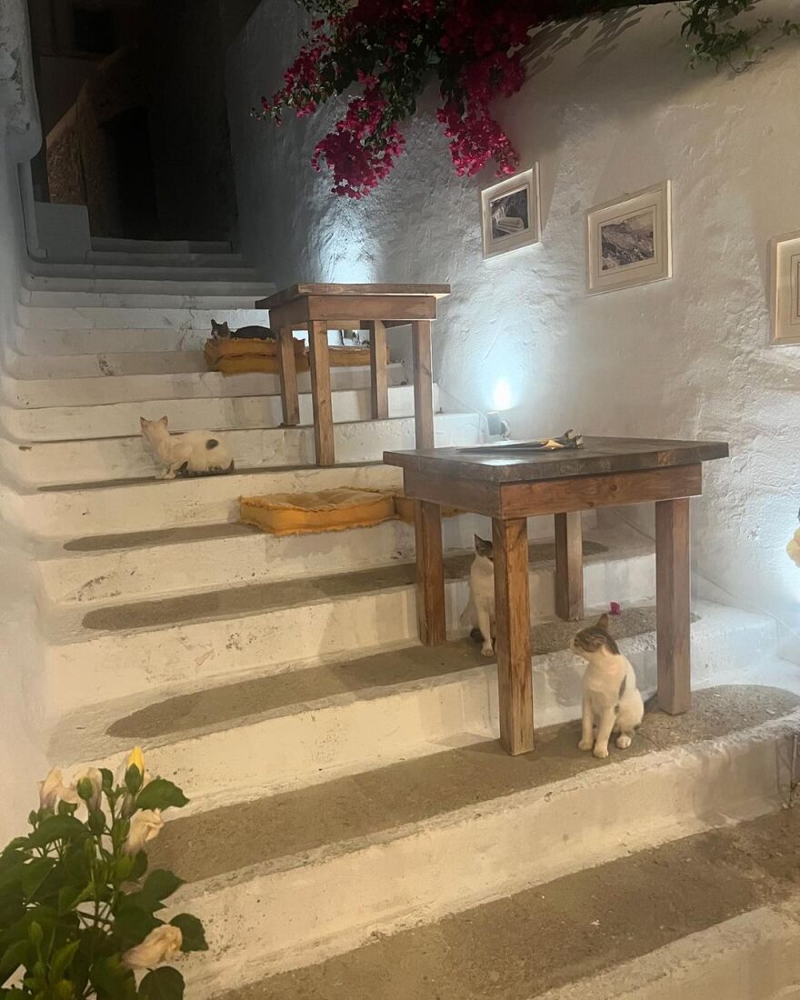 Μπέττυ Μαγγίρα: Έχε γεια Αμοργό μου όμορφη κι άγρια, έγραψε σε ανάρτησή της 