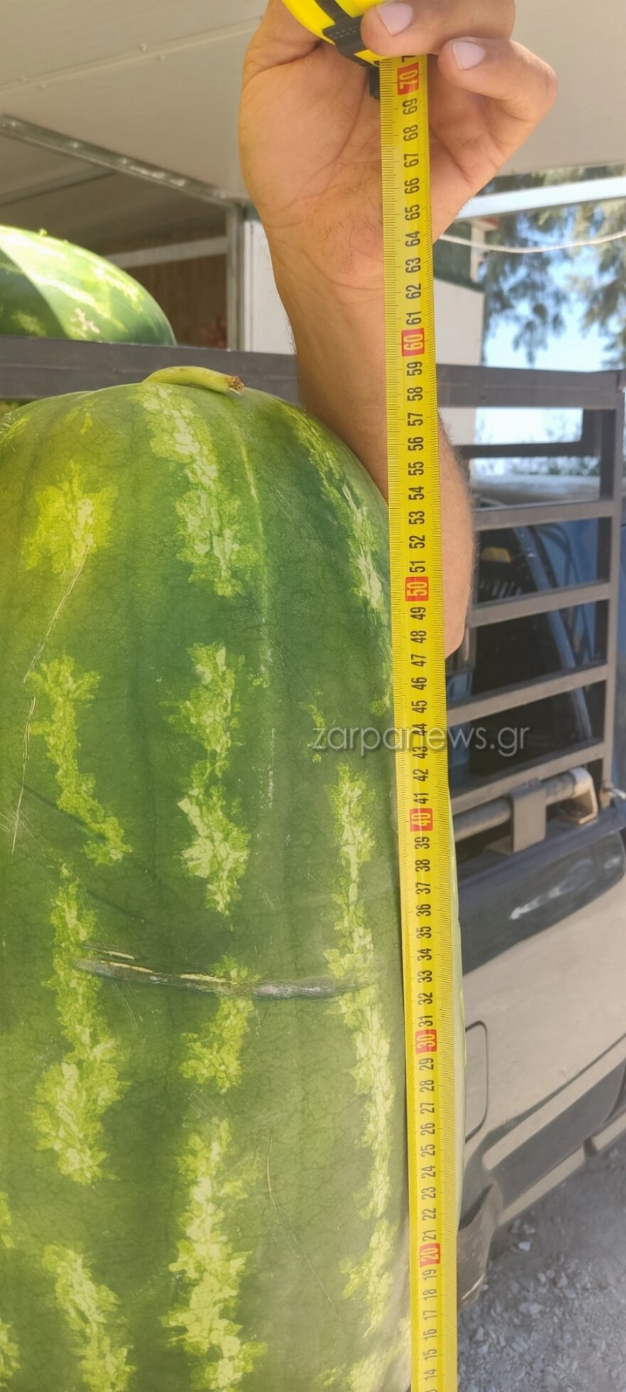 Χανιά: Καρπούζι 28 κιλών καλλιεργήθηκε στο χωράφι ενός παραγωγού