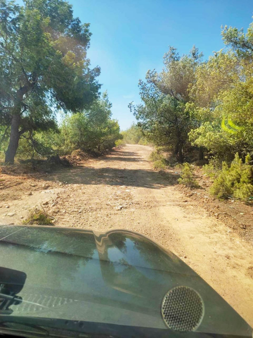 Νέες αντιπυρικές ζώνες άνοιξε στον Μαραθώνα η Πολιτική Προστασία - Δείτε φωτογραφίες 