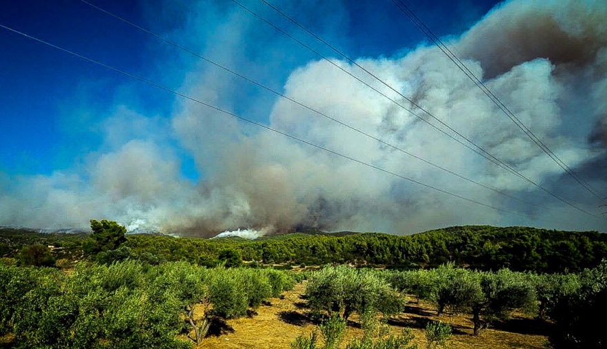 Ολονύχτια μάχη με τις φλόγες σε Εύβοια και Ρέθυμνο - Δείτε βίντεο και φωτογραφίες