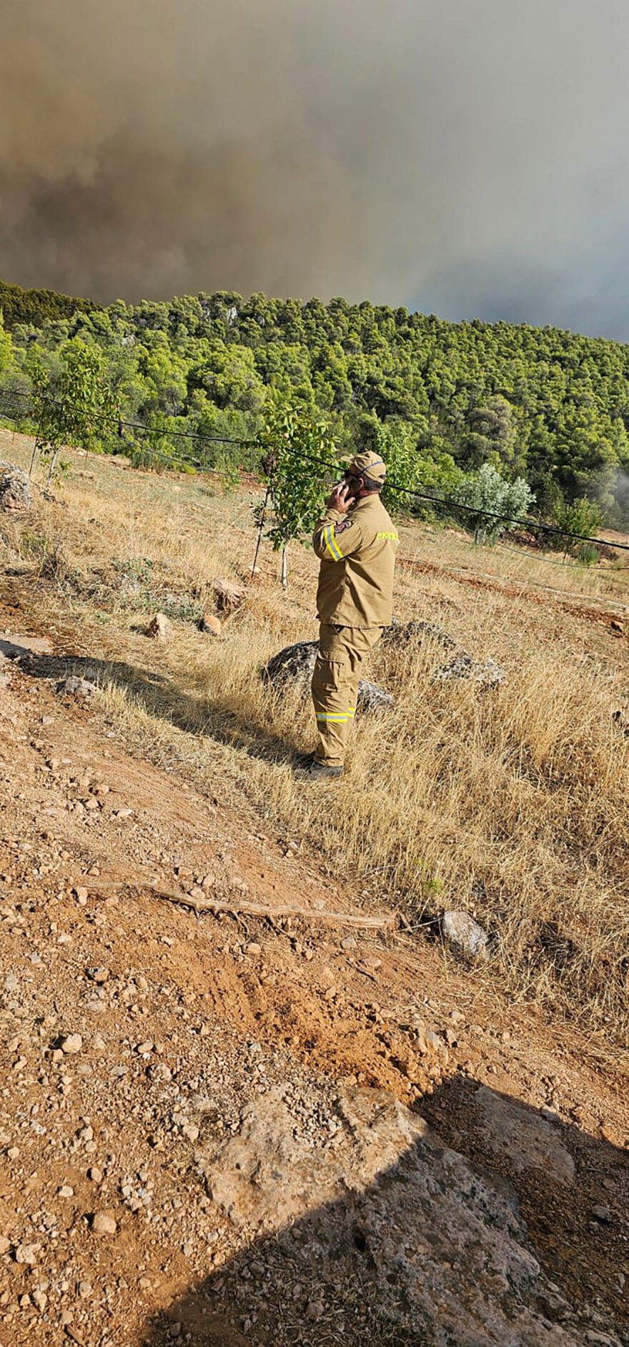 Ολονύχτια μάχη με τις φλόγες σε Εύβοια και Ρέθυμνο - Δείτε βίντεο και φωτογραφίες