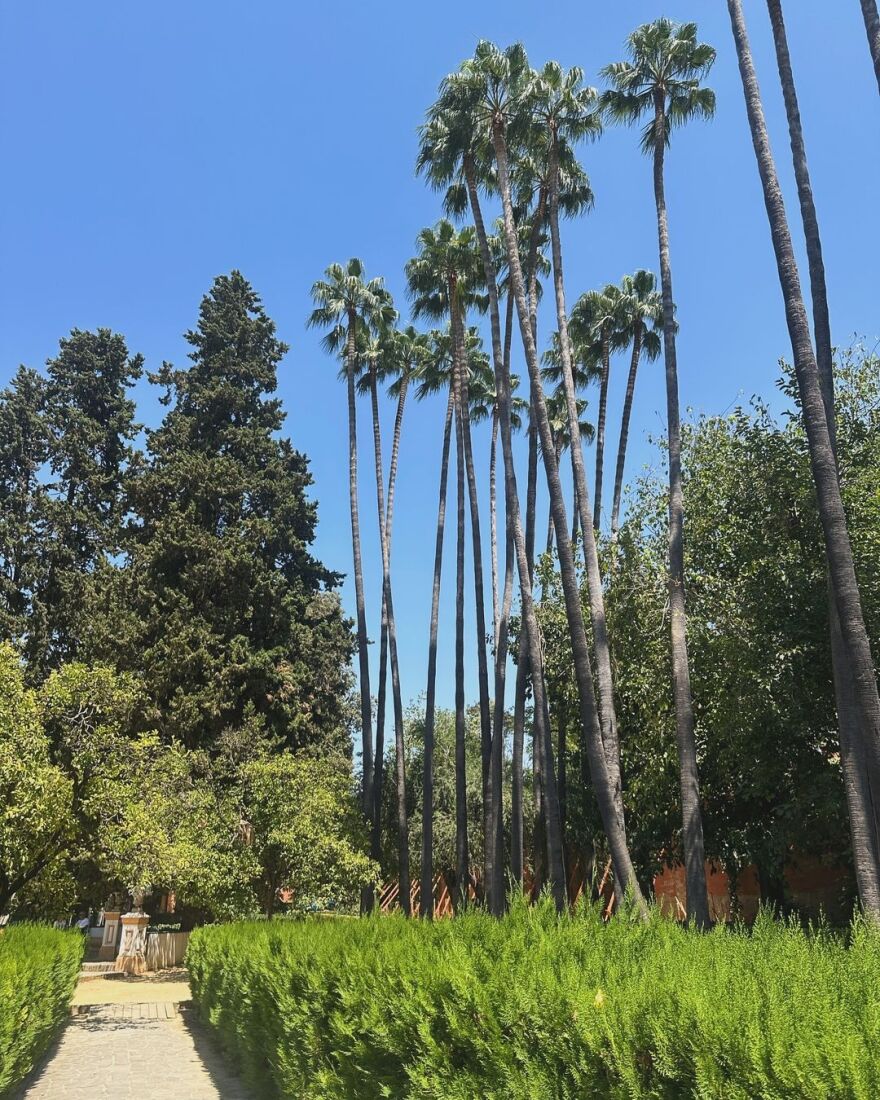 Δανάη Μπάρκα: Ανάρτησε νέες φωτογραφίες από την Ισπανία στο Instagram 