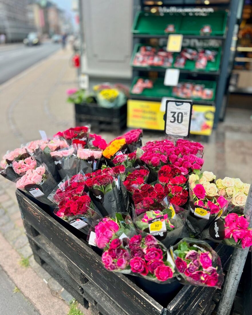 Χριστίνα Κοντοβά: Το φωτογραφικό άλμπουμ από το ταξίδι της στην Κοπεγχάγη