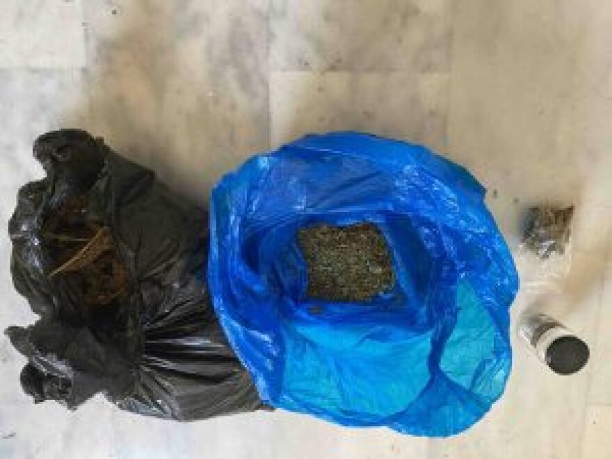 Κρήτη: Κατασχέθηκαν 1.321 δενδρύλλια και 1.180 γραμμάρια κάνναβης στα Χανιά