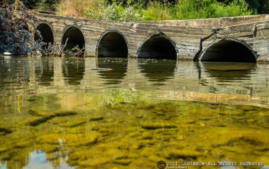 Φθιώτιδα : «Στέγνωσαν» ο Σπερχειός και οι παραπόταμοι από την ξηρασία - Δείτε φωτογραφίες και βίντεο