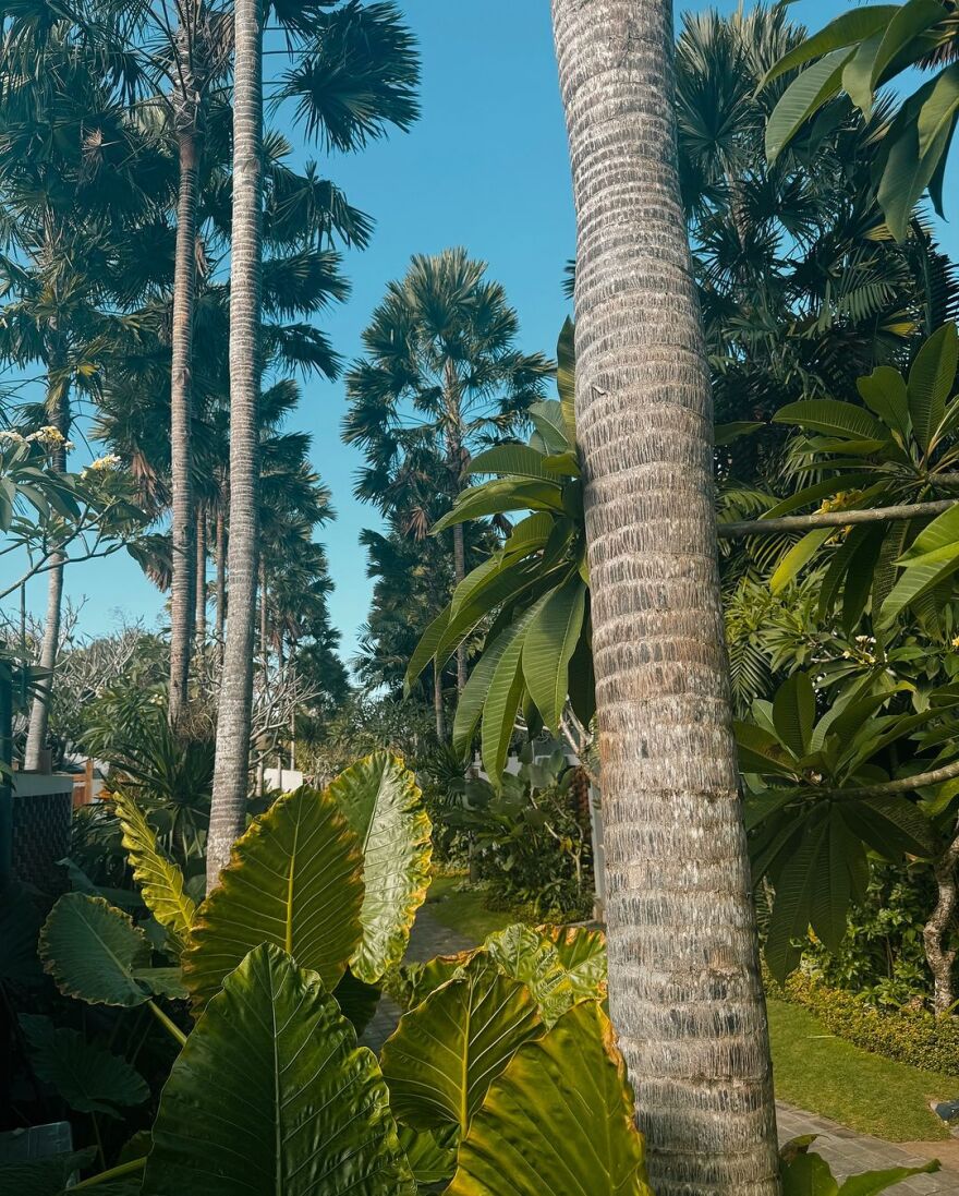 Εβελίνα Νικόλιζα: Το φωτογραφικό άλμπουμ από το ταξίδι της στο Μπαλί