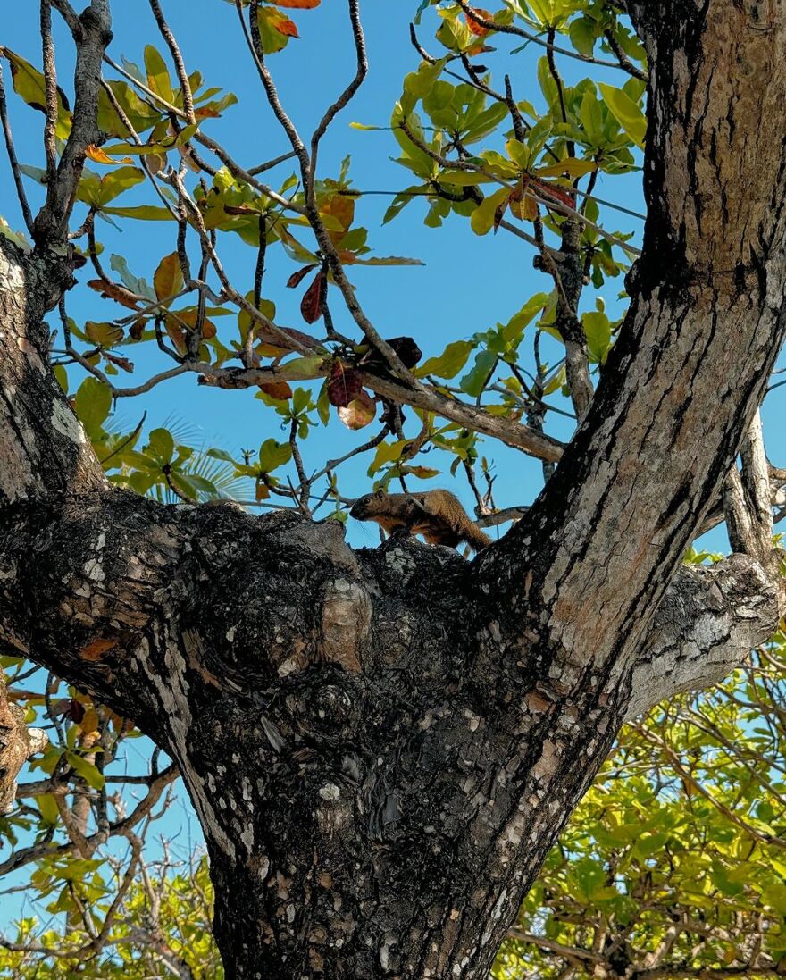 Εβελίνα Νικόλιζα: Το φωτογραφικό άλμπουμ από το ταξίδι της στο Μπαλί