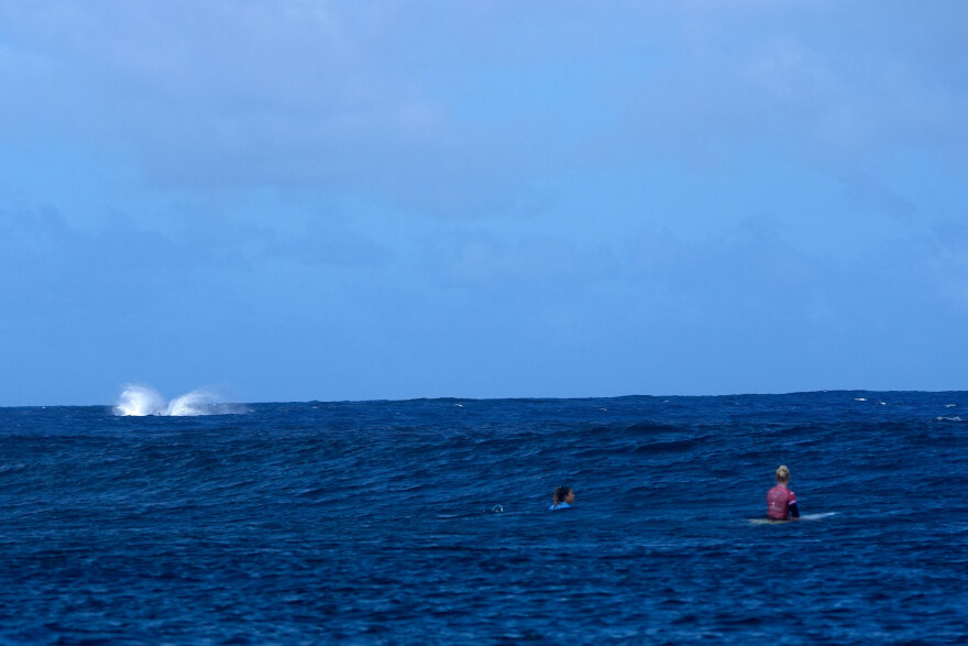 Ολυμπιακοί Αγώνες 2024: Φάλαινα έκανε «photobombing» στις σέρφερ - Δείτε βίντεο και φωτογραφίες