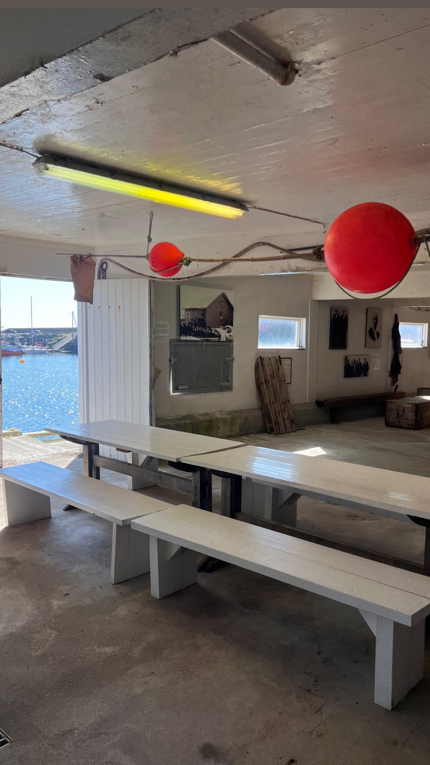 Χριστίνα Κοντοβά: Το φωτογραφικό άλμπουμ από τις διακοπές της στη Νορβηγία