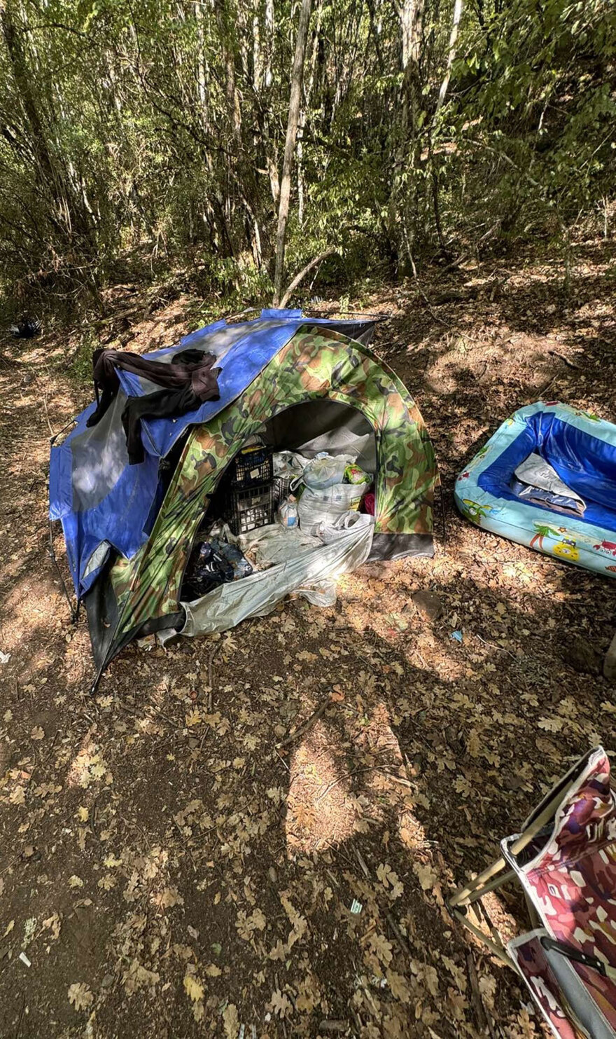 Φυτεία με πάνω από 1.000 δενδρύλλια κάνναβης εντοπίστηκε στη Θεσσαλονίκη - Συνελήφθησαν 4 άτομα