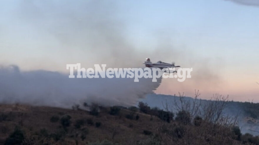 Υπό έλεγχο η φωτιά στο Φυτόκο Μαγνησίας - Δείτε φωτογραφίες