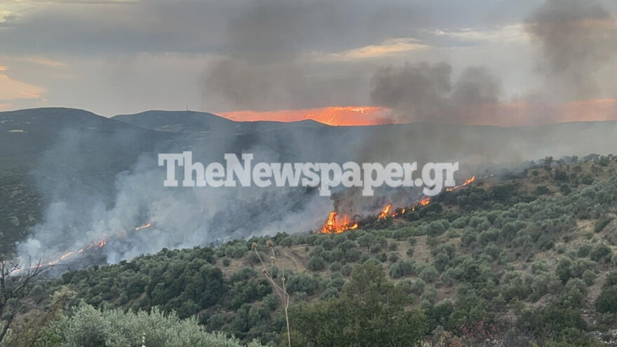 Υπό έλεγχο η φωτιά στο Φυτόκο Μαγνησίας - Δείτε φωτογραφίες