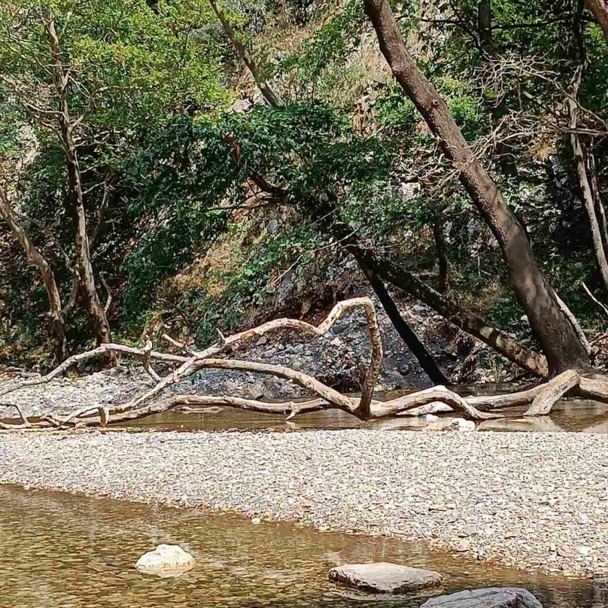 Ζέτα Δούκα: Στους καταρράκτες Παλαιοκαρυάς - Ευλογία, γράφει