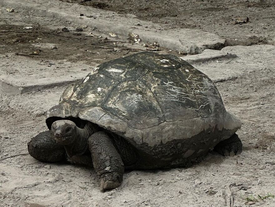 Ντέβα Κασέλ: Κάνει διακοπές στις Σεϋχέλλες