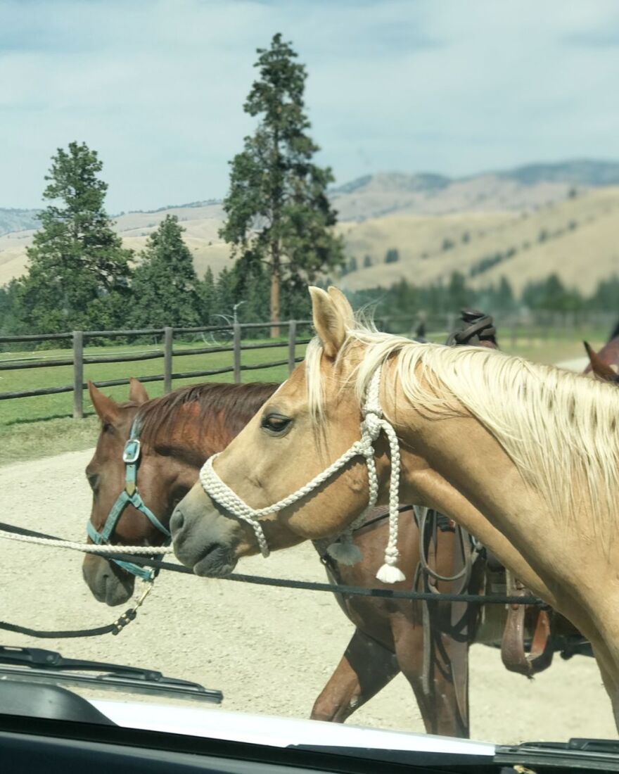  Γουέντι Μονίζ: Αποχαιρετά το Yellowstone - Είμαι απίστευτα τυχερή, αναφέρει